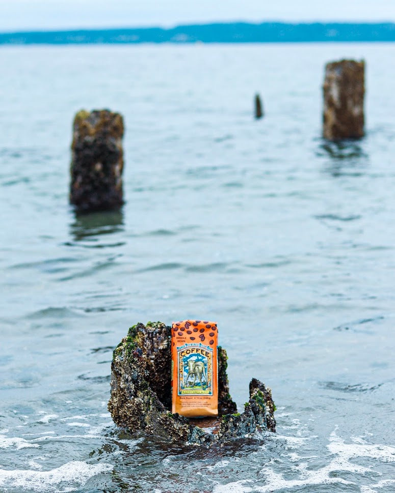 Raven's Brew at Sea